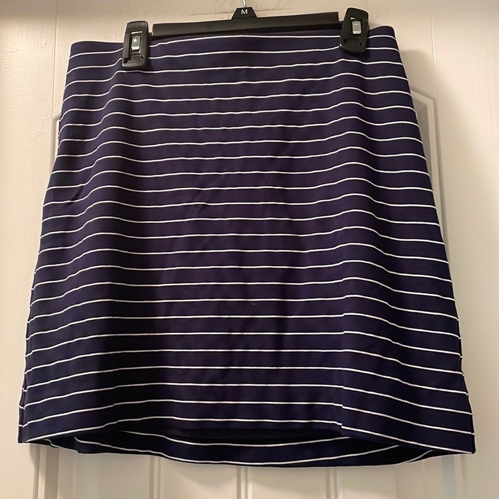 Express Striped Skirt